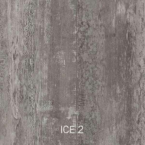 ICE 2